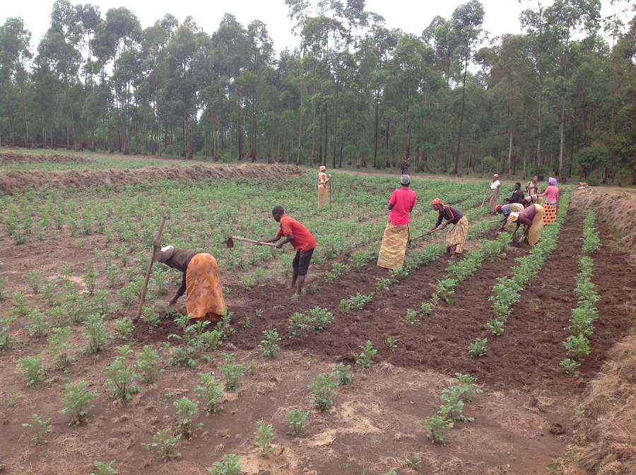 Soutien aux femmes rurales.